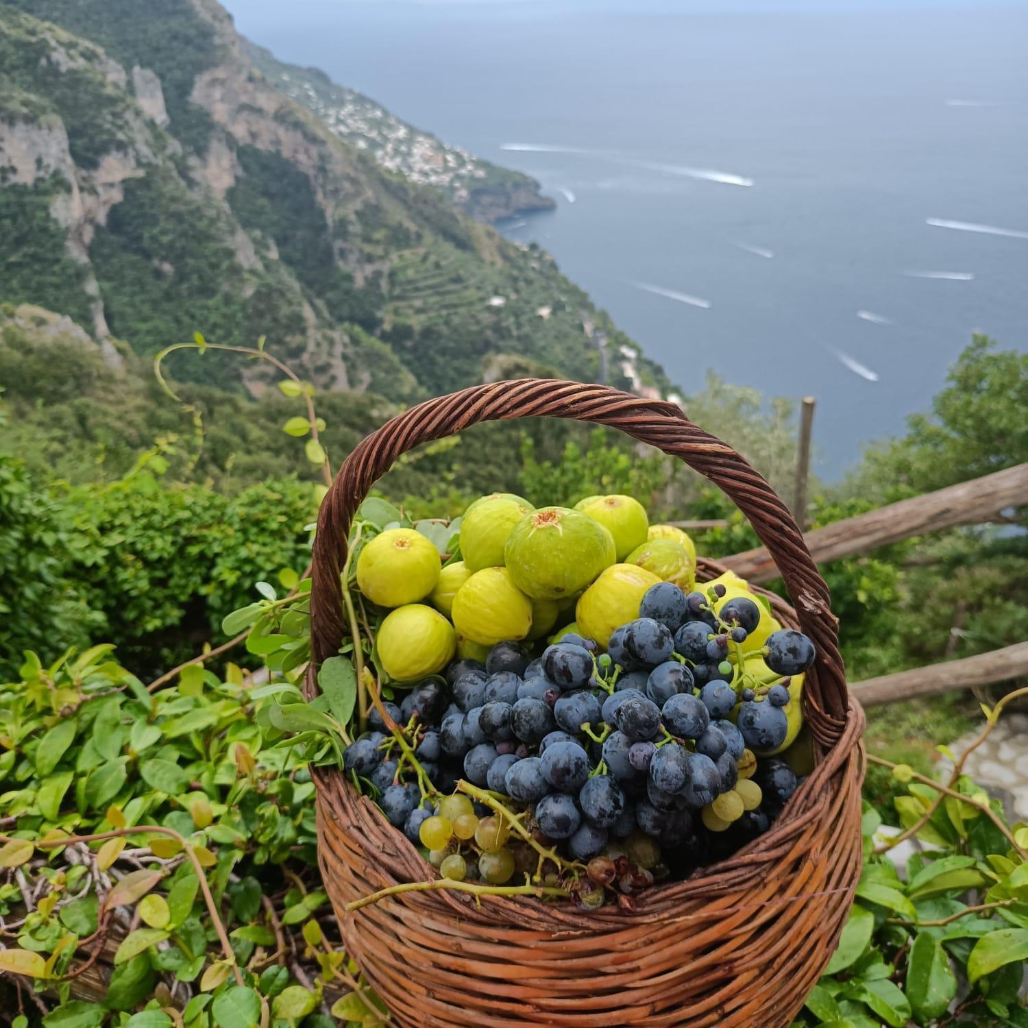 Villa Antica Macina Positano Zewnętrze zdjęcie