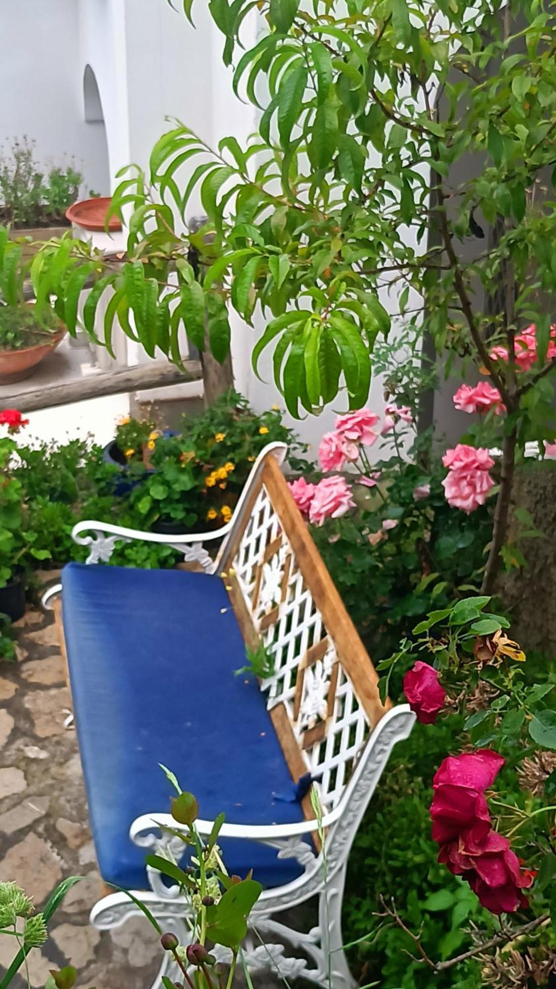 Villa Antica Macina Positano Zewnętrze zdjęcie